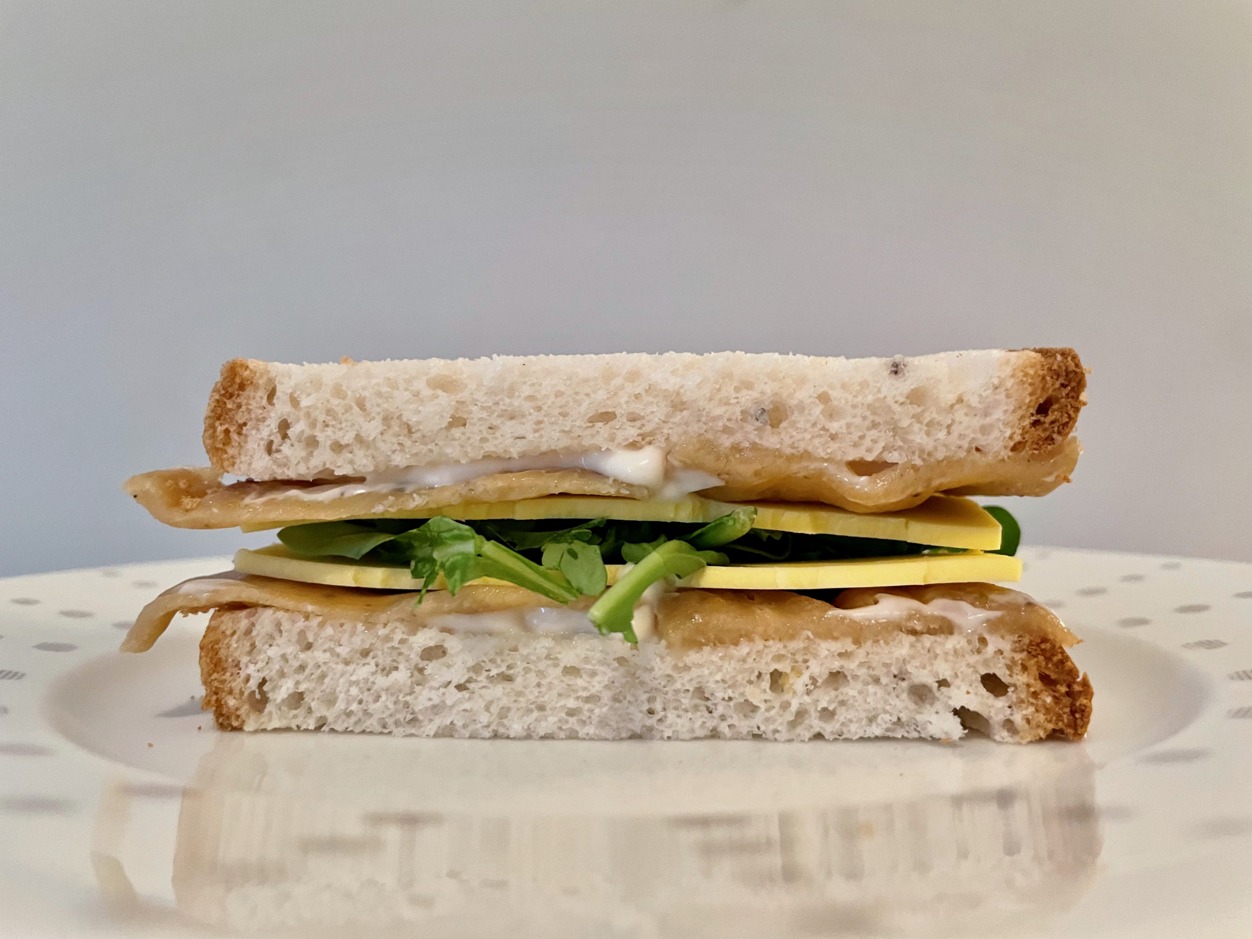 deli sandwich cut in half seen in elevation