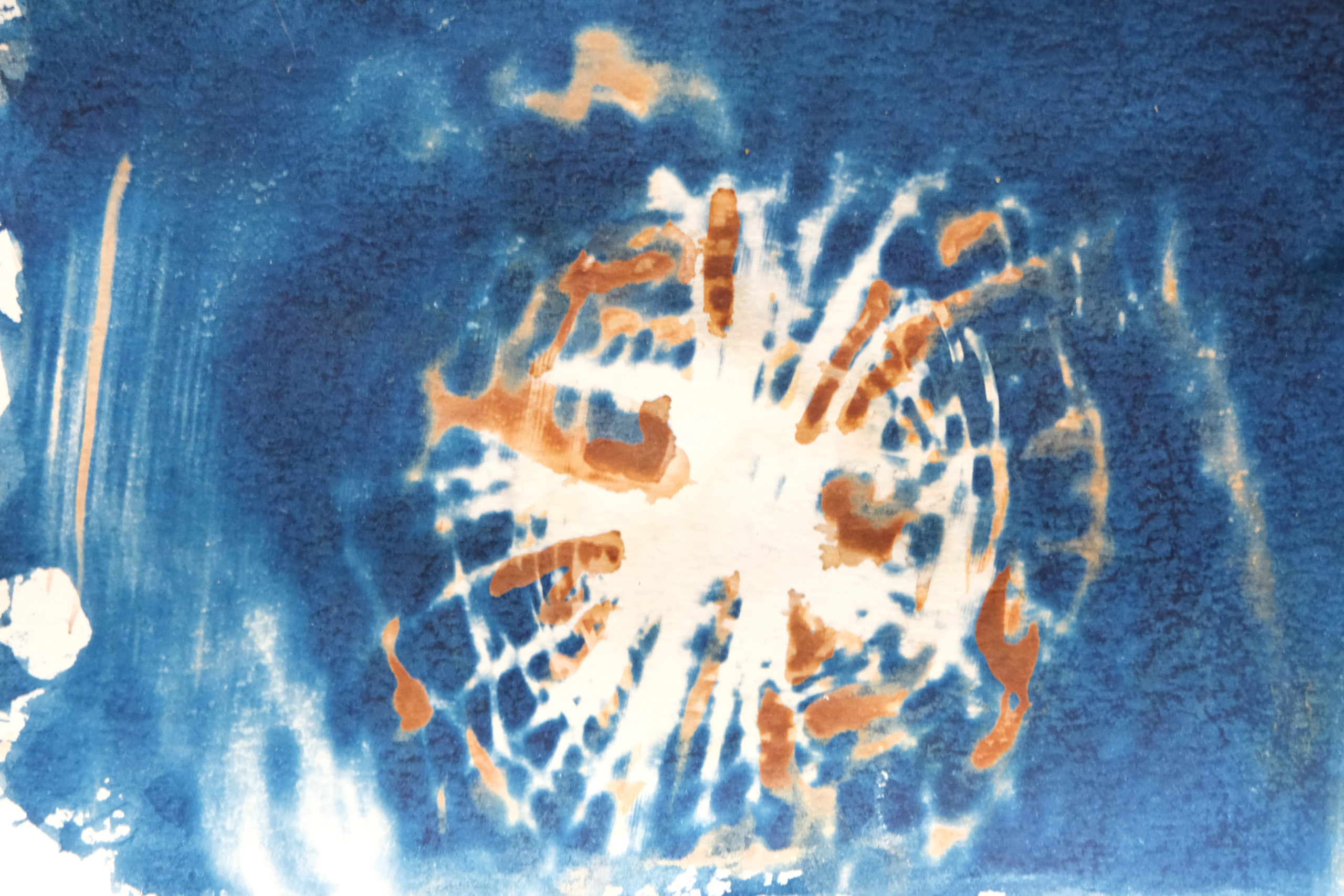 the same cyanotype but with select areas bleached and toned with silver nitrate so that some of the blue spaces between the webbing are tinted brown. The toning is a light brown over the previously white spaces and a medium brown over the previously blue spaces