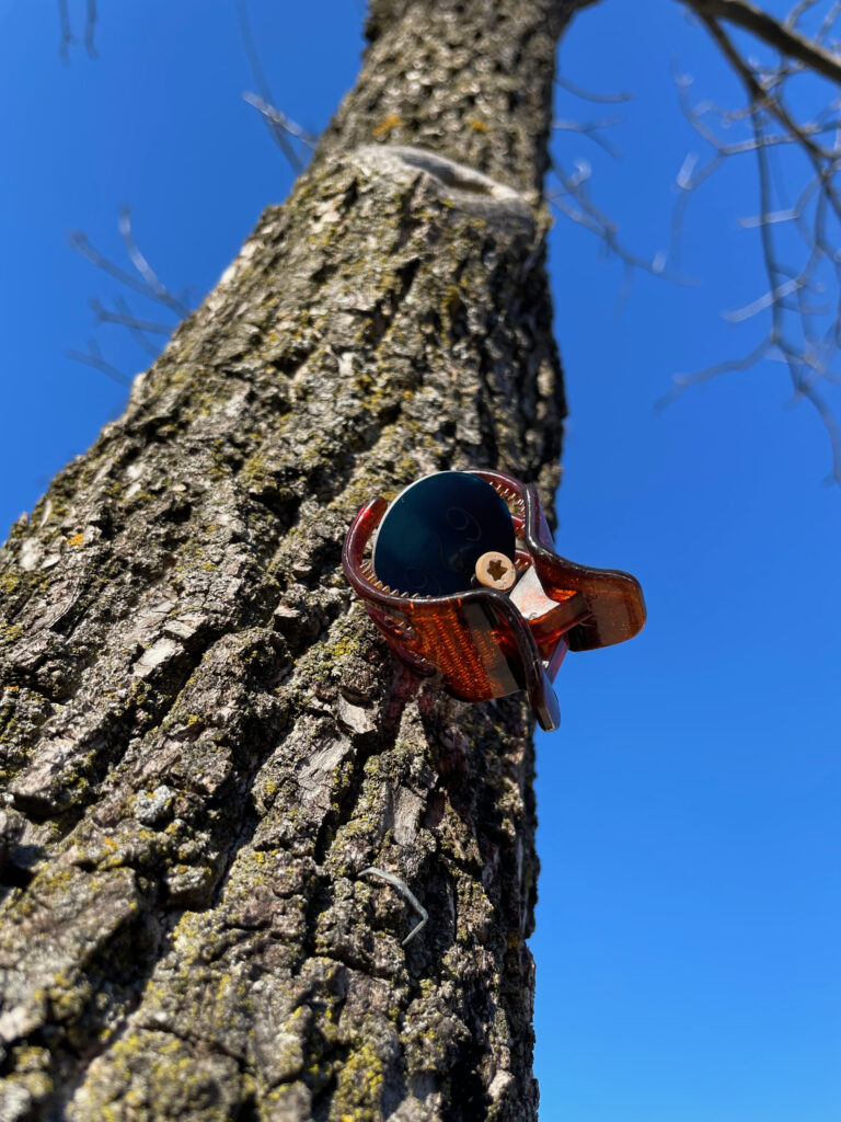photo of a plastic hair clip clamped over a round tag that's been nailed into a tree trunk