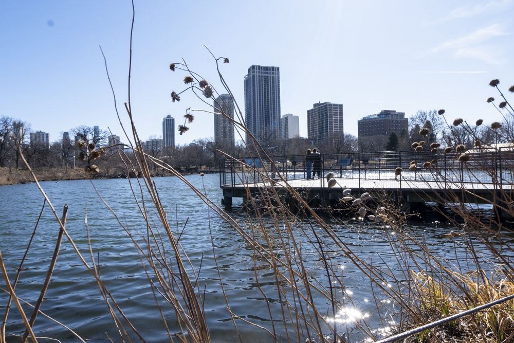 the North Pond at the Lincoln Park Zoo in Chicago